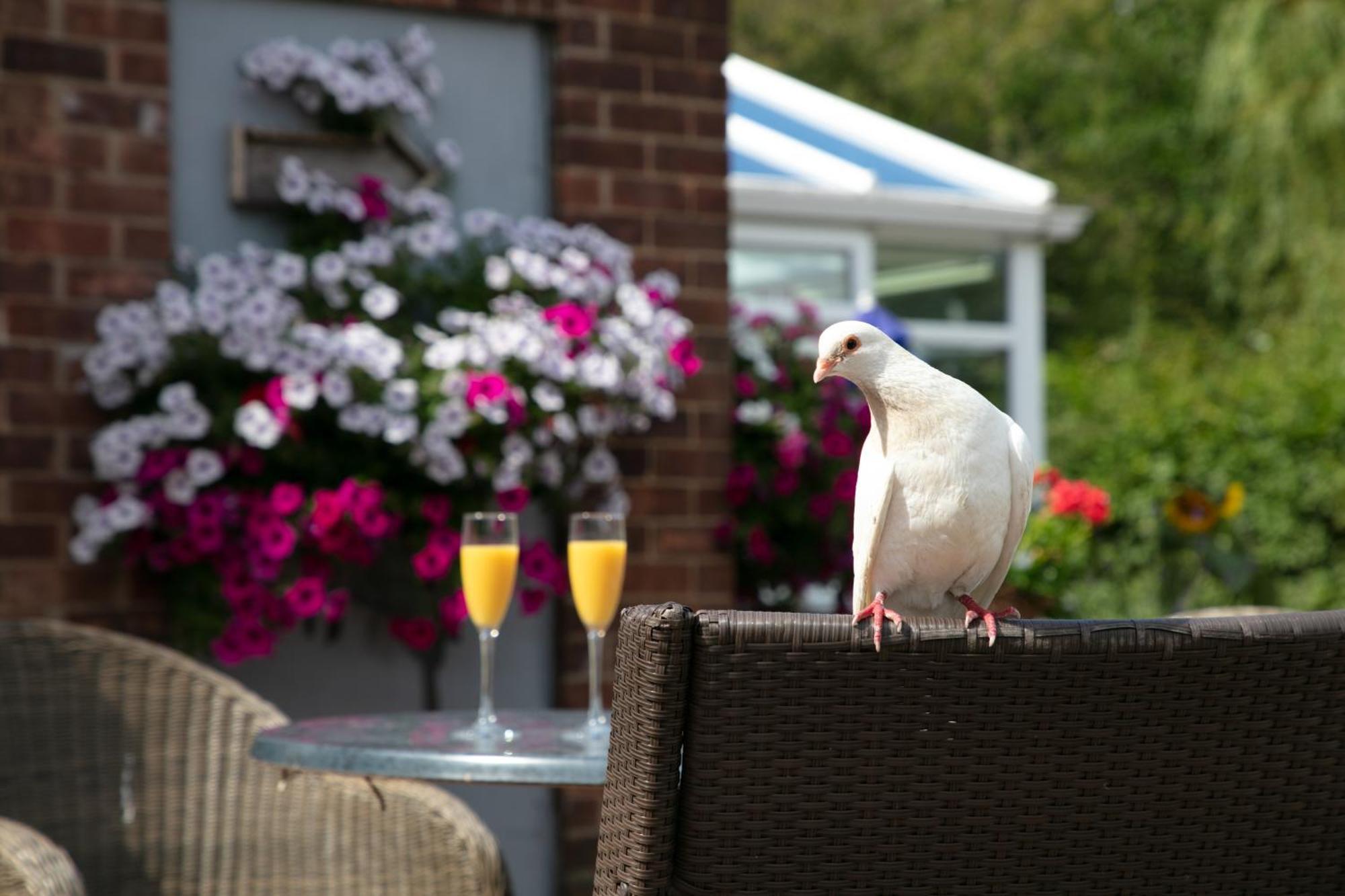 Dorset Arms Hotel Уолсенд Екстериор снимка
